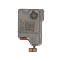 Hörmuschel Pixel 10