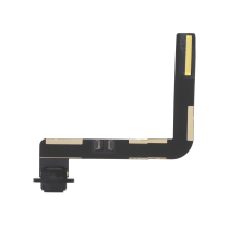Schwarzer Ladeanschluss iPad 5/6/Air