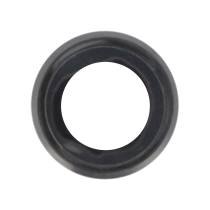 Schwarze Hauptkamera Linse iPhone 6S