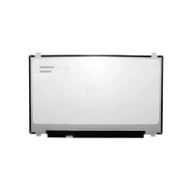 LED-Display 17,3" - 1600 x 900 - 30 Pins Links (Matt)