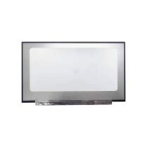 LED-Display 17,3" - 1920x1080 - 30 Pins Rechts (Matt)