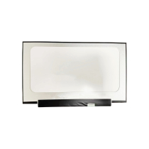 LED-Display 14" - 1920x1080 - 30 Pins - Rechts (Matt)