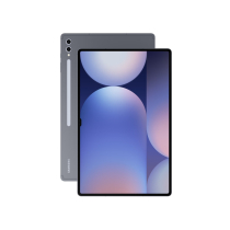 Samsung Galaxy Tab S10 Ultra 256 GB Grau (WiFi) (Grade A)