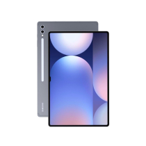 Samsung Galaxy Tab S10 Ultra 14.6" 2024 256 GB Grau (Grade A) (Wifi)