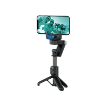 DEVIA Multifunktions-Selfie-Stick (Schwarz) (Q19)