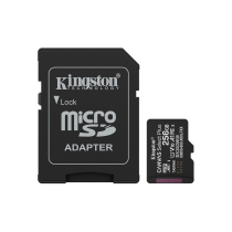 KINGSTON Canvas Select Plus Gen3 MicroSD 256Go