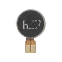 Vibrationsmotor Galaxy A06 5G (A066B)