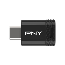 PNY USB-Stick Typ-C 3.2 Elite-X 256 GB