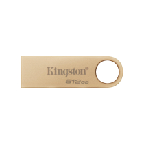 KINGSTON USB-Stick DTSE9 G3 512GB
