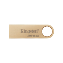 KINGSTON USB-Stick DTSE9 G3 256GB