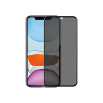 Panzerglas Galaxy S24 Ultra (Privacy)