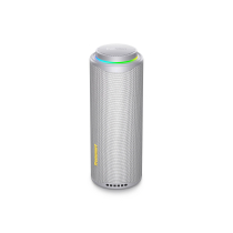 TRONSMART T8 O3020 Bluetooth-Lautsprecher (Grau)